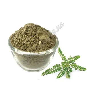 Bhumi amla 50g Himalayan int., Bhumi amla Himalayan International, Bhumiamalaki churn, Bhumi Amla, phullantus niruri, Ayurveda
