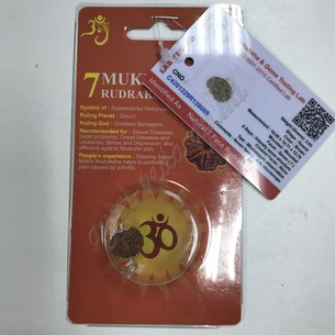 Rudraksha bead 7 face certified about 10-15mm in metal. processed, rudraksha 7 mukhi, Rudraksha bead 7 face certified, Ayu