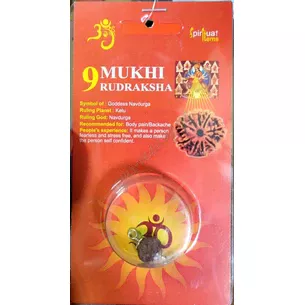 Rudraksha bead 9 faces certified about 10-15mm in metal. processed, rudraksha 9 mukhi, Rudraksha bead 9 faces certified