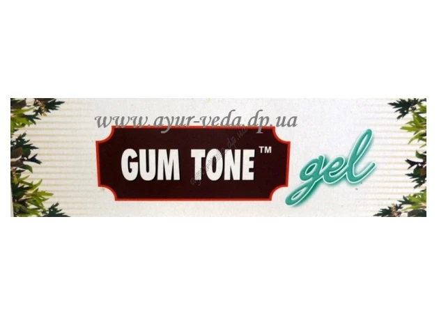 Фото 1 - Gel for gums Gum Tone 40g Glass period 03/24 inclusive, Gum Tone Charak, one gel - triple action, Ayurveda