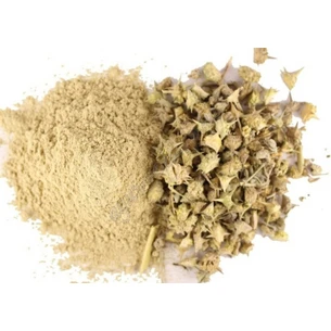 Гокшура (Трибулус) порошок развес, Хімалаян інт., 100г., Himalayan International. Gokshura powder, Gokhru, Гокшура (Трибулус, як