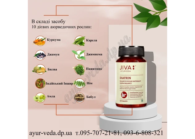Фото 1 - Диатрин Джива Аюрведа 120таб, Jiva Ayurveda Diatrin Trablets, препарат при сахарном диабете, Аюрведа Здесь!