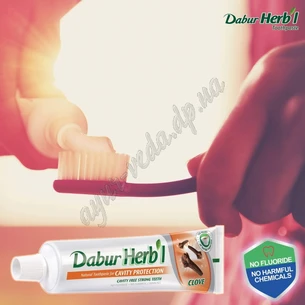 Зубная паста Дабур Гвоздика 150г, Зубная паста, Dabur Herb’l Clove Natural Toothpaste, щетка в подарок, Аюрведа