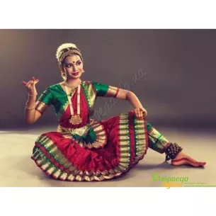 Costume for Indian dances, Bharatanatyam, chic oriental costume, Bharatnatyam dress, Ayurveda