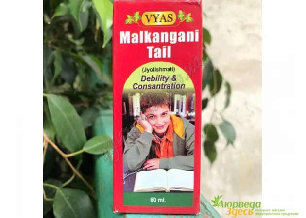 Фото 1 - Malkangani tail, 60 ml, JYOTISHMATI TAIL, Malkanguni TAIL, VYAS, Ayurveda Here*