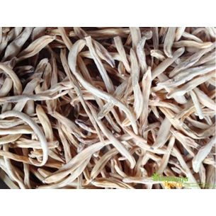 Муслы муссала корень, 100 г, Musli Musali, Хлорофитум боривилианум, Сафед Мусли, Цфат мюсли, Chlorophytum borivilianum, Аюрведа