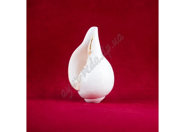 Фото 1 - Polished frame, length 16-18cm, Ritual sink for Pooja, shankh for pooja, Ayurveda
