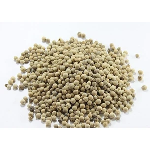 white pepper, Piper nigrum L.