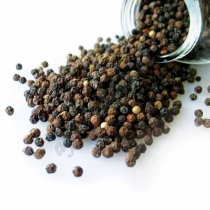 White pepper, Piper nigrum L.