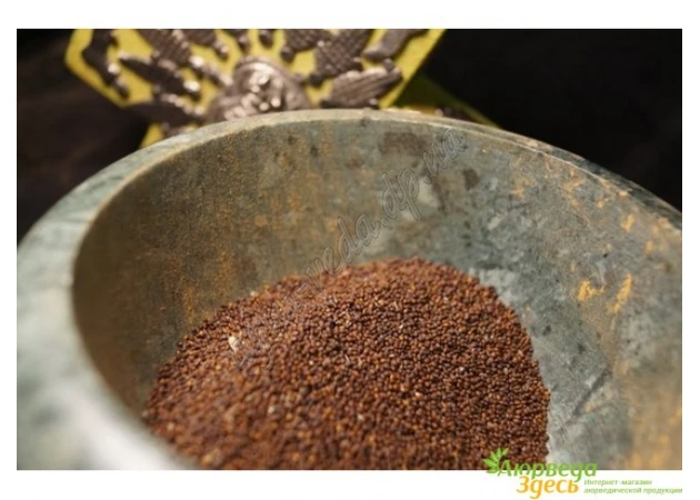 Фото 1 - Семена Тулси, Базилик священный, Туласи, коричневые, 10г., Tulasi Seeds, Tulasi devi, Ocimum sanctum Tulsi, Holy Basil seeds, Аю