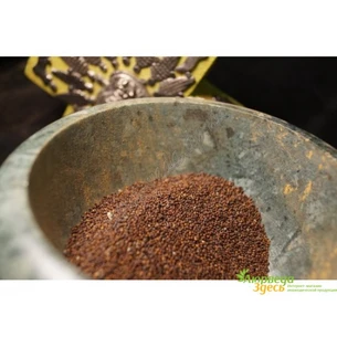 Семена Тулси, Базилик священный, Туласи, коричневые, 10г., Tulasi Seeds, Tulasi devi, Ocimum sanctum Tulsi, Holy Basil seeds, Аю