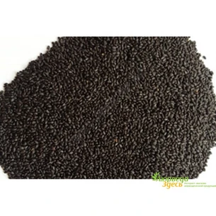 Семена Тулси, Базилик священный, Туласи, чёрные, Кришна Туласи, 10г., Tulasi Seeds, Krishna tulasi, Tulasi devi, Ocimum sanctum