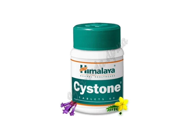 Фото 1 - Цистон 60 таб. Хималая, Himalaya Cystone, Аюрведа Здесь