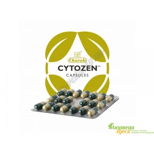Цитозен Чарак, эффективный гепатопротектор, при гепатитах, Cytozen Capsule Charak, Аюрведа