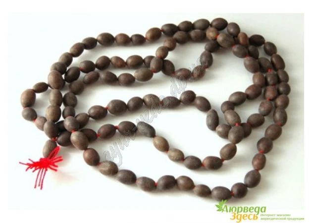 Фото 1 - Beads (mala) from lotus seeds, lotus mala, Lotus mala, Ayurveda