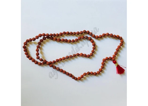Фото 1 - Rudraksha beads tied 6mm, Rudraksha beads tied, Rudraksh mala, Rudraks mala Ayurveda