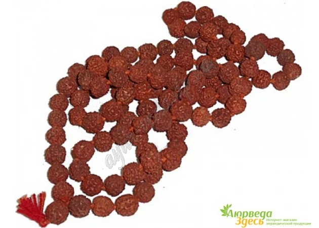 Фото 1 - Rudraksha rosaries approximately: diameter 16-20mm length 188cm, Rudraksha beads small, Rudraksh Mala, Ayurveda