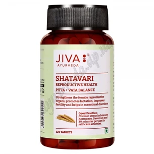 Shatavars of Jiva Ayurveda 120 tab. term 05/24, Shatavari Tablets Jiva Ayurveda, Shatavari Jiva, tonic and rejuvenation, Ayurveda Here