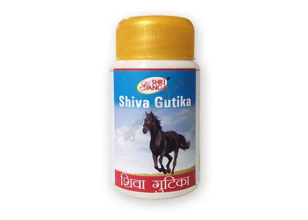 Фото 1 - Shiva Gutika Shri Ganga 100 tab, Shiva Gutika Shri Ganga, Ayurveda Here
