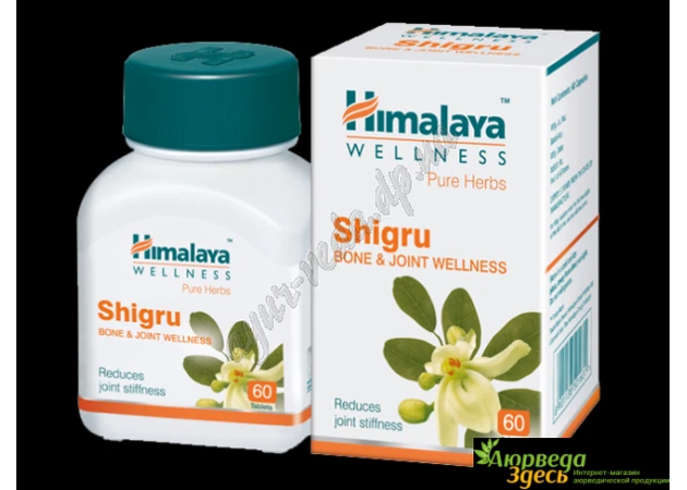 Фото 1 - Shigru Moringa (Shigru Moringa) Himalaya 60 tab, Himalaya Shigru Himalaya, helps strengthen the body, Ayurveda.