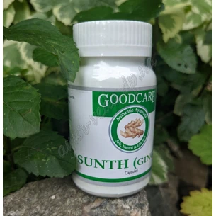 Шунты Имбирь ГудКер 60кап., Shunti Goodcare, Имбирь, ГудКэр, повышение иммунитета и улучшение пищеварения, Аюрведа