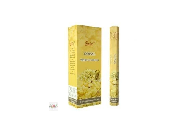 Фото 1 - Aromatic sticks Balaji Copal (20 pcs.)